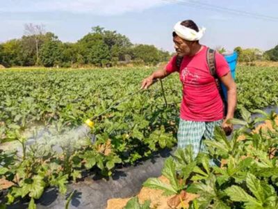 India seeks to boost domestic green ammonia supplies to fertiliser sector