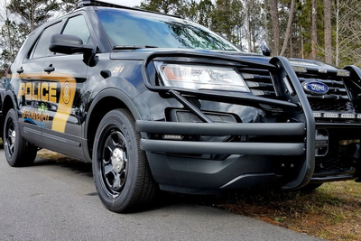 Woman Arrested After Allegedly Throwing Kittens From Moving Car, Leaving One Dead