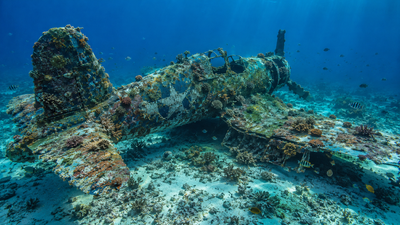 In 1943, a US Corsair ditched off the Solomon Islands; more than 80 years later, it sits upright 174 feet underwater as a living reef