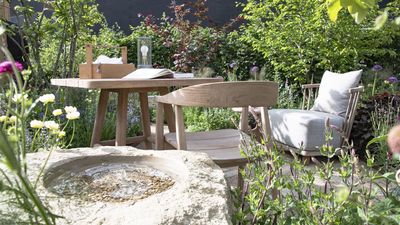 August Is the Perfect Time to Take Shrub Cuttings – How to Get New Plants for Free in Late Summer