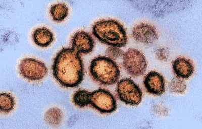 AI Is Now Designing Viruses From Scratch. Experts Say The Rules Aren't Ready