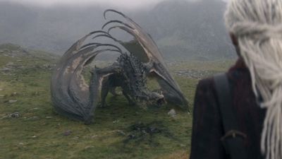 House Of The Dragon Book Fans Miss Nettles, But I Would Still Die For Sheepstealer