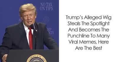 Trump’s Big Hair Steals The Spotlight And Becomes The Punchline To Many Viral Memes, Here Are The Best