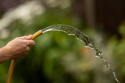 Hosepipe ban: When will restrictions end as South West Water imposes ban?