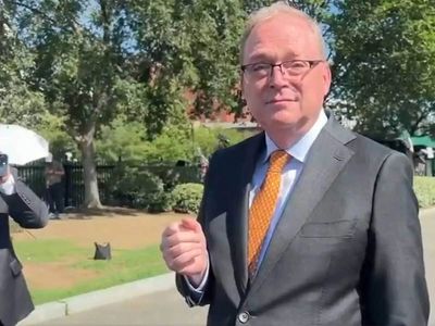 White House adviser declines to link Russia sanctions bill with India trade talks