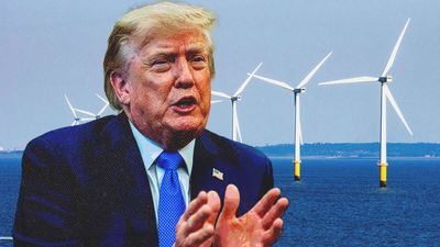 Trump Administration Will Pay $1.2 Billion To Cancel More Offshore Wind Projects, Calling It 'Common Sense'