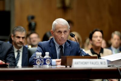 Senate Panel Refers Fauci to Justice Department for Contempt as COVID Origins Questions Stay Unsettled