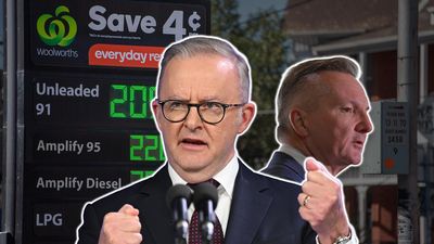 Labor backs 'strong' fuel supply as petrol prices bite