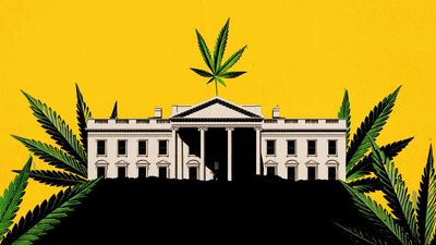 The White House's Push To Pause the Hemp Ban Smells Like Cronyism