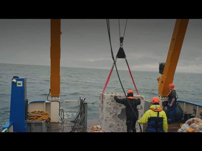 Britain used discarded seafood waste and engineered reef habitats to solve the collapse of native oyster ecosystems; the result transformed lifeless seabeds into thriving underwater habitats capable of supporting oysters, fish, and countless marine species
