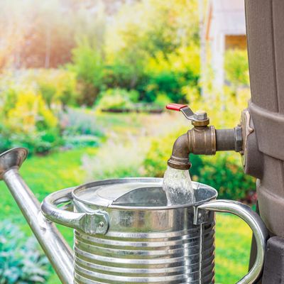 The 7 water-saving habits garden experts wish we'd all adopted before this summer's heatwaves hit