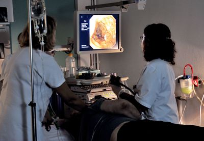 Large Trial Finds High-Dose Vitamin D Did Not Slow Metastatic Colorectal Cancer