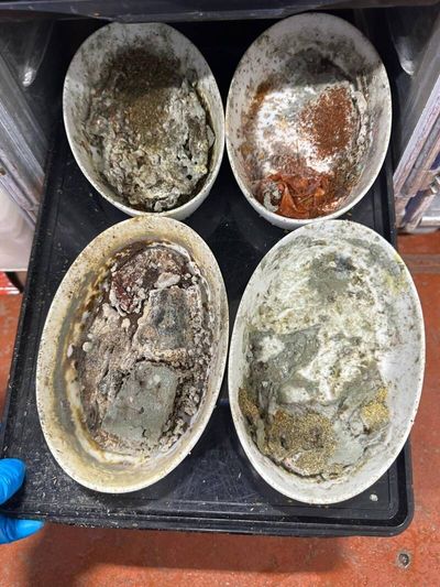 噁！美國飛機餐公司員工投訴 黴菌、蛆蟲、蟑螂橫行