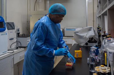 Gene-Editing Startup Scraps Lead Program Seven Months After Launch and Cuts Staff