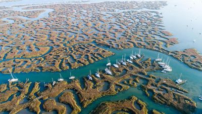 ‘I haven’t felt this present for months’: sail back in time on a Thames barge in Essex