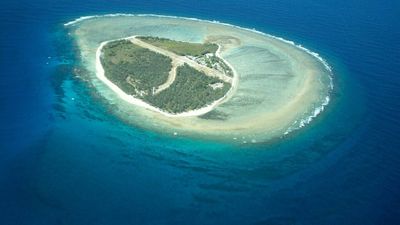 In 1969, an Australian pilot leased a coral island left barren by guano mining; he flew in drums of water for early plantings, helping begin a 50-year ecological recovery
