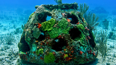 Americans are turning cremated remains into reef balls weighing up to 4,000 pounds; nearly 3,000 have already reached the seafloor