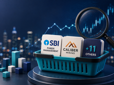 Quant Small Cap Fund adds SBI Funds Management, Caliber Mining and 11 others in July