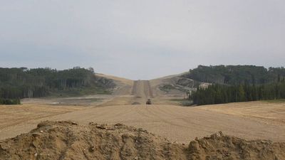 In 2024, a Canadian study found salvaged boreal forest topsoil supported 61 plant species on reclaimed oil sands sites within three years