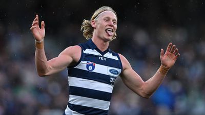 Cats shrug off concussion scandal with Bombers win