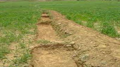 In the late 1960s, a Zimbabwean farmer transformed a dry hillside with rainwater-harvesting earthworks; his wells stayed productive through droughts