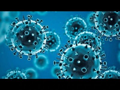 Louisiana Vibrio vulnificus outbreak: 5 deaths reported as deadly bacteria cases rise, prompting new warnings for beachgoers. Check symptoms, when to seek medical care, and how should you protect yourself