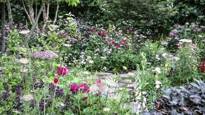 Deadheading These 7 Flowers in August Will Give You Glorious Blooms Into Fall
