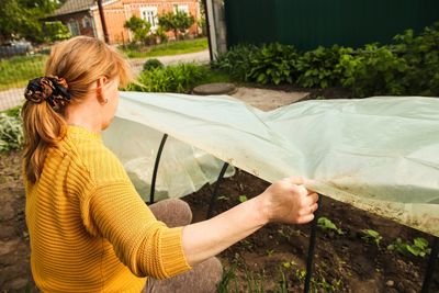 6 Crops That Can Grow Beneath a Simple Low Tunnel