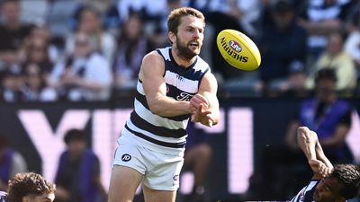 Cats chief defends controversial concussion deal