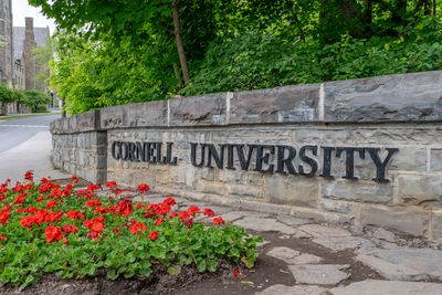 Cornell's new rule: Don't butcher bears