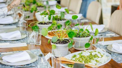 I Had Lunch at Martha Stewart’s Bedford Farm – These Are the 5 Outdoor Entertaining Essentials She Told Me She Won't Host Without