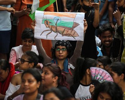 Cockroach protests: parents of Indian students who took their own lives reveal pressure of leaked exam papers and resits