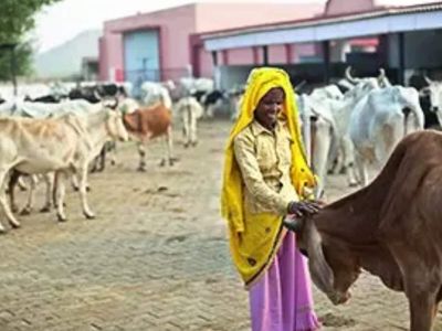 GOBARdhan Scheme can help reduce gas imports by $5 billion, says IBA