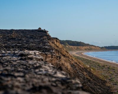 ‘These are human fires, not wildfires’: Dunwich reflects on the devastation