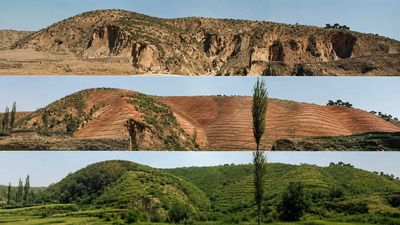 South Korea planted more than 10 billion trees after the Korean War, and its forests made a remarkable comeback