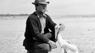 In 1903, a Florida boatbuilder became warden of a tiny island; his patrols helped protect America’s first federal bird refuge