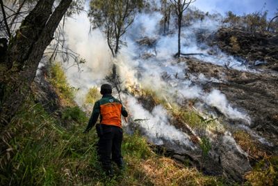 Indonesia closes national park as wildfire spreads