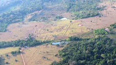 Ancient urban civilisation discovered within the dense Amazon rainforest