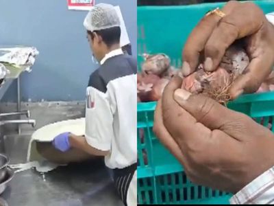 From 105 kg expired food & 32 litres of milk to 50 kg chicken and rotten veggies: What FDA found inside Bengaluru’s 3-star and 5-star hotel kitchens will shock you