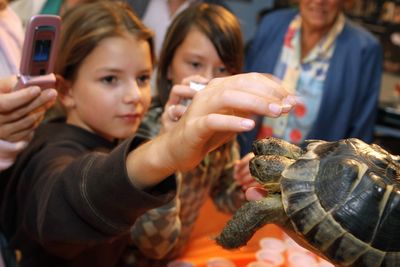 Eight Children Sick and Three Hospitalized in Salmonella Outbreak Linked to Pet Turtles, CDC Says