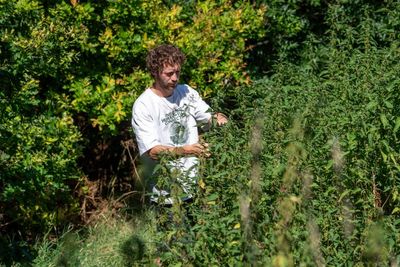 Avoid rare species and only take what you need: how to forage and save money on your food shopping