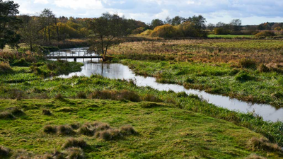 In 2001, Denmark began turning 19 km of straightened River Skjern into 26 km of bends; researchers later found some lost habitats may take centuries to return