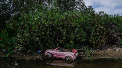 In 1986, a California city began polishing sewage through constructed marshes; the 307-acre system is now a wildlife sanctuary that has hosted over 300 bird species