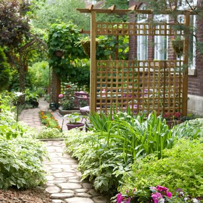 5 heatwave-proof evergreen plants to keep your garden colourful in every season – and they'll stop your garden feeling bare in the colder months