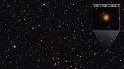 New James Webb telescope image may reveal the true identity of 'little red dots' — Space photo of the week