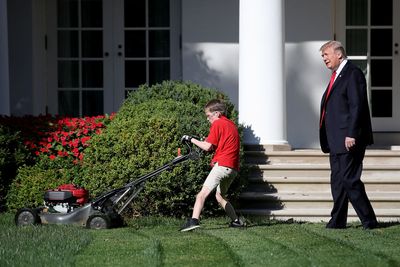 Trump "knows grass" in his DC projects