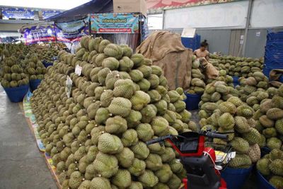 Durian exports pass 2025 total despite rising costs