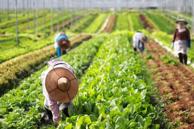 Asean's green growth push