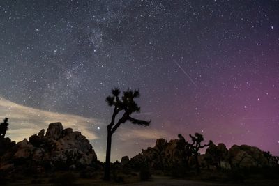There is a Perseid meteor shower this week. Here’s how to watch it