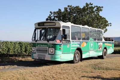A slow, boozy bus tour of Hungary’s secret vineyards